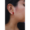 Aretes mariquita